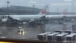 Potret Langka Ketika Tokyo Tertutup Salju
