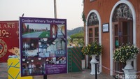 Ada juga tur keliling perkebunan dan belajar aneka macam olahan anggur dan wine (Shinta/detikTravel)