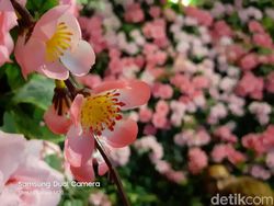 Galaxy M20 Tak Cuma Andalkan Baterai, Hasil Fotonya pun Oke