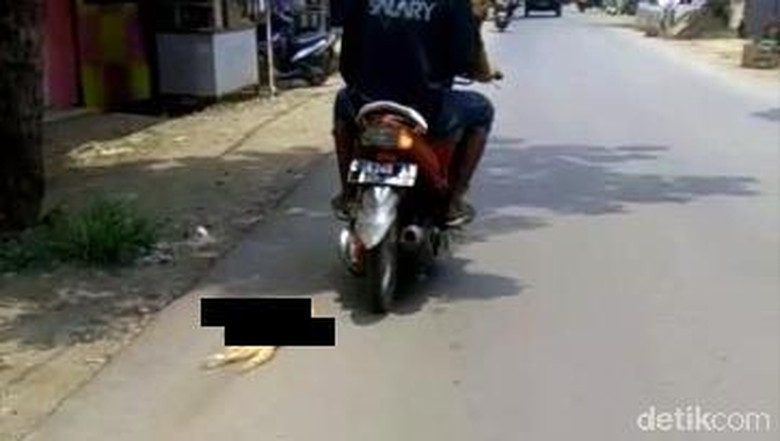 Polisi Buru Satu Lagi Pelaku Penyeret Kucing di Pekalongan Polisi Buru Satu Lagi Pelaku Penyeret Kucing di Pekalongan