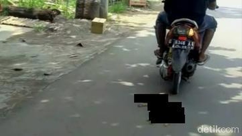 Ngeri! Di Pekalongan Terekam Orang Seret Kucing Pakai Motor Ngeri! Di Pekalongan Terekam Orang Seret Kucing Pakai Motor