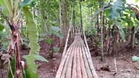 Jalan menuju ke situs Batu Ngampar. Konon, di tempat ini sewaktu-waktu terdengar bunyi gamelan, pertanda akan ada peristiwa besar (Dadang Hermansyah/detikTravel)