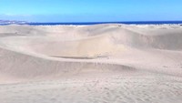 Inilah kawasan cagar alam, Gurun dan Pantai Maspalomas di Kepulauan Canary, Spanyol. Kawasan dilindungi ini tak luput dari aksi vandalisme turis tidak bertanggung jawab. (dok. Juan Coello Foundation)