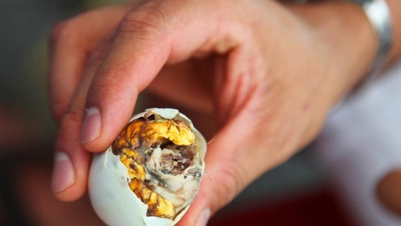 balut A fertilized chicken egg Asian delicacy.