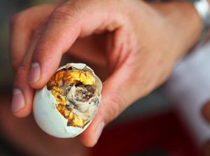 Beli Telur Balut, Wanita Ini Malah Menetaskan dan Memelihara Bebeknya