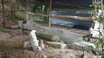 Foto: Hawa Mistis Makam Keramat Gunung Lembu