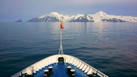 Nyatanya, turis diizinkan datang ke Half Moon Island. Biasanya, kapal pesiar dengan rute antartika bakal mampir ke Half Moon Island dan ada pemandu khusus (iStock)