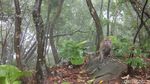 Foto: Pesona Eksotis Gunung Lembu & Waduk Jatiluhur