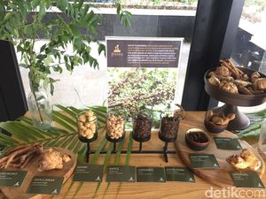 Lewat Inovasi yang Tepat, Hasil Hutan Indonesia Mampu Mendunia