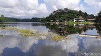 Air di Situ Gede pernah kering pada 2015. Kemarau panjang mengakibatkan debit air menurun 90 persen. Akibatnya, ratusan hektar sawah terancam gagal panen (Masaul/detikTravel)