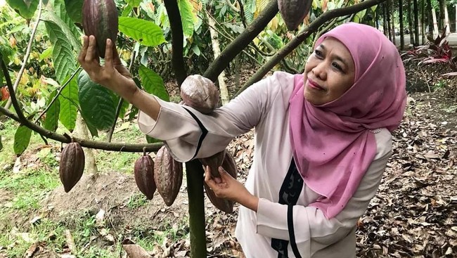 Mengintip 5 Momen Khofifah Cicip Srikaya, Kakao, hingga Timun Suri