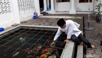 Sebelum meninggalkan rumah dinas Wakil Gubernur Jatim, Gus Ipul sempat bernostalgia dengan beberapa tempat di areal dalam rumah tersebut. Memakai kemeja koko berwarna putih dan berkopiah hitam, dia menuju kolam ikan yang berada di belakang rumah.