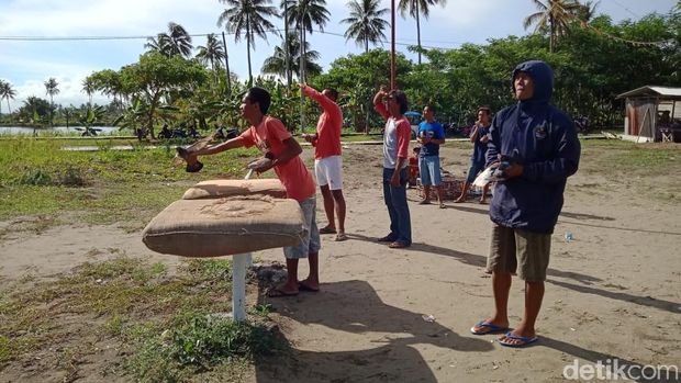 Wow, Burung Merpati Pangandaran Dihargai Ratusan Juta Rupiah