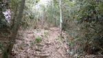 Foto: Pesona Eksotis Gunung Lembu & Waduk Jatiluhur