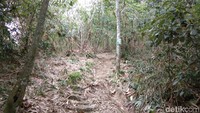 Jalur pendakian Gunung Lembu tergolong pendek dengan 3 pos yang bisa dilahap dalam waktu sekitar 3 jam bagi pendaki pemula (Idris/detikTravel)