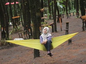 Menikmati Keindahan 5 Hutan Pinus di Kota Batu Malang
