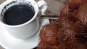Meski Bukan dari Biji Kopi, Kopi Mangrove hingga Kopi Biji Salak Juga Enak