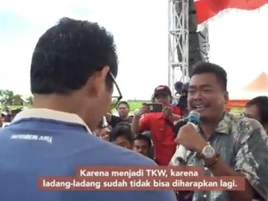 Petani Bawang yang Curhat ke Sandi Disebut Komisioner KPU, Ini Penjelasannya