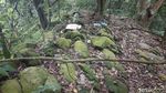Foto: Hawa Mistis Makam Keramat Gunung Lembu