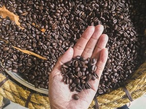 Sumatera Prestige Cup 2019 Mencari Biji Kopi Nusantara Terbaik
