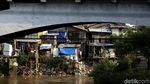 Potret Pemukiman Kumuh di Bantaran Sungai Ciliwung