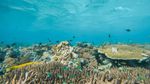 15 Negara Paling Indah, Indonesia Juaranya!