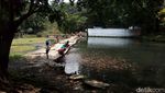 Foto: Adem, Main di Kolam Ikan Alami di Salatiga