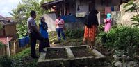 Heboh Tanaman 'Ganja' Muncul di Makam Tua Sukabumi