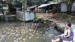 Foto: Adem, Main di Kolam Ikan Alami di Salatiga