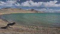 Sepanjang hari, danau ini berubah warna dari warna pirus dan zamrud menjadi biru kobalt hitam. Fenomena menarik kan? (Dave Stamboulis/BBC Travel)