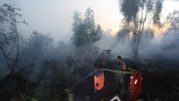 Sejak awal 2019 hingga kini, hutan dan lahan yang terbakar di Riau mencapai 267,5 hektare. Paling luas terjadi di Kabupaten Bengkalis, yakni seluas 131 hektare.