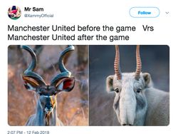 MU Keok di Kandang, Meme Sarat Ledekan pun Bermunculan