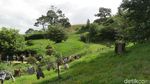Foto: Rumah Hobbit di Selandia Baru, Niat Banget Bikinnya