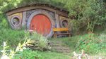 Foto: Rumah Hobbit di Selandia Baru, Niat Banget Bikinnya
