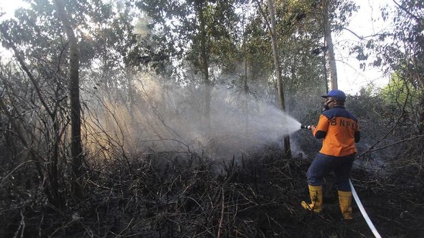 Tahun Politik, Riau Siaga Darurat Karhutla Delapan Bulan