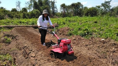 Srikandi Penjaga Gambut dari Mantangaia