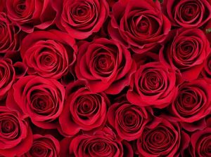 Warga Arab Saudi Siap Rayakan Hari Valentine yang Tadinya Haram