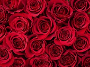10 Fakta Hari Valentine yang Jarang Diketahui Orang