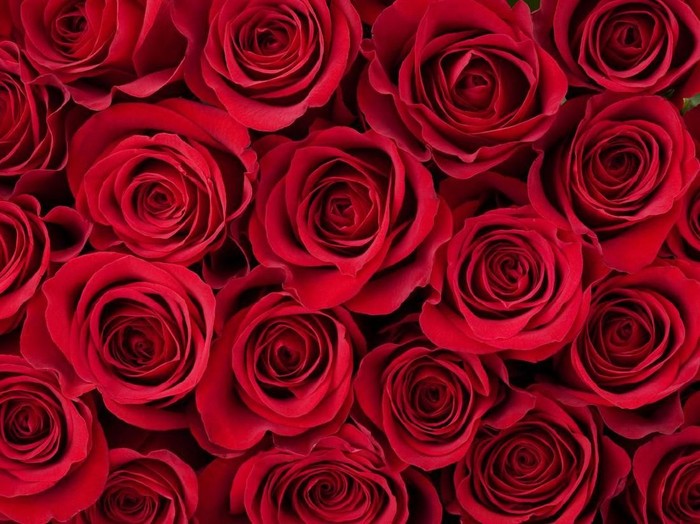 10 Fakta Hari Valentine Yang Jarang Diketahui Orang