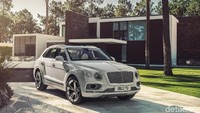 Yang pertama ada Bentley Bentayga hybrid. Mobil ini merupakan alternatif lain untuk penggemar mobil hybrid. Bentley mengklaim Bentayga hybrid merupakan SUV mewah pertama menggunakan hybrid. Foto: Bentley