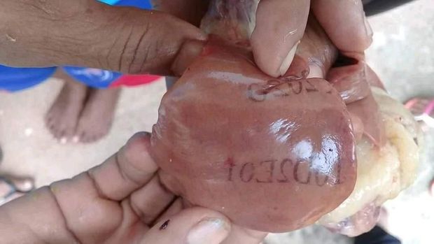 Jumpa Pers, Pendeta Cerita Takutnya Jemaat Lihat Hati Ayam Bertuliskan Angka