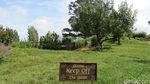 Foto: Rumah Hobbit di Selandia Baru, Niat Banget Bikinnya