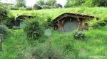 Foto: Rumah Hobbit di Selandia Baru, Niat Banget Bikinnya