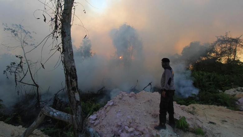 Moeldoko: Kebakaran Hutan Sudah Berhasil Kita Tekan Moeldoko: Kebakaran Hutan Sudah Berhasil Kita Tekan