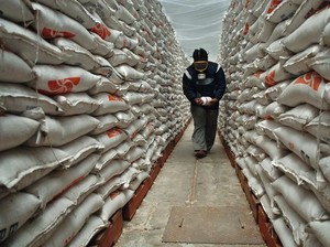 Tambah Kapasitas, Bulog Rogoh Rp 4,9 M untuk Perluasan Gudang