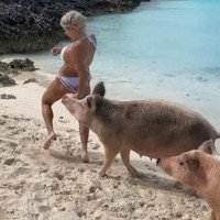 Banyak netizen yang khawatir dengan keadaan selebgram Michelle Lewin setelah beberapa waktu lalu bokongnya digigit babi. Pada saat itu, Michelle tampil dengan bikin dan befoto-foto di pantai untuk Instagram. Tapi tiba-tiba ada babi yang mengarah kepadanya, menyeruduk hingga bokongnya digigit.  Foto: dok. Instagram (@michelle_lewin)