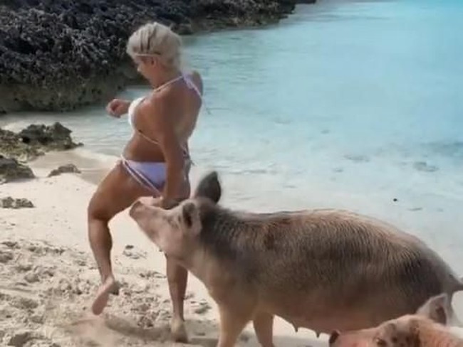 Banyak netizen yang khawatir dengan keadaan selebgram Michelle Lewin setelah beberapa waktu lalu bokongnya digigit babi. Pada saat itu, Michelle tampil dengan bikin dan befoto-foto di pantai untuk Instagram. Tapi tiba-tiba ada babi yang mengarah kepadanya, menyeruduk hingga bokongnya digigit.  Foto: dok. Instagram (@michelle_lewin)