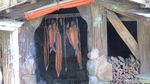 Foto: Rumah Hobbit di Selandia Baru, Niat Banget Bikinnya
