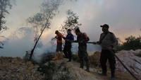 Secara keseluruhan, luas lahan yang terbakar di Kota Dumai mencapai 17,5 hektare. Sementara di Kabupaten Kepulauan Meranti yang terbakar mencapai dua hektare. Kalau untuk di Kabupaten Rokan Hilir, luas mencapai 87 hektare. Sedangkan di Kota Dumai, kebakaran juga masih terjadi di Kecamatan Sungai Sembilan. Selain itu di Kabupaten Kampar, tercatat luas kebakaran mencapai 14 hektare, di Pekanbaru seluas 16,01 hektare yang terbakar.