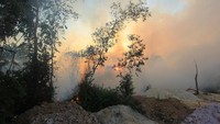 Menurut Badan Penanggulangan Bencana Daerah (BPBD) Provinsi Riau, kebakaran hutan dan lahan disejumlah wilayah di Riau seperti Dumai terus meluas akibat cuaca panas dan angin kencang.